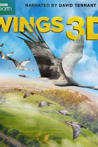 Wings