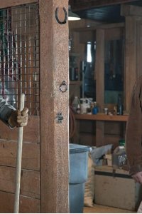 Heartland – S10E16 – A Long Shot