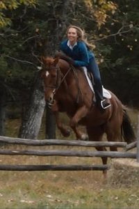 Heartland – S14E10 – Staying the Course