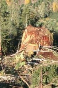 Ax Men – S01E04 – The Big Hit