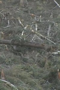 Ax Men – S01E06 – Reversal of Fortune