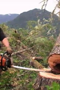 Ax Men – S05E01 – Ax Is Back