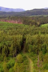 Ax Men – S05E09 – Rygaard vs. Rygaard