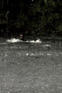 Ax Men – S06E20 – In Too Deep