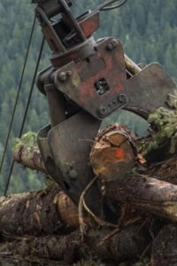 Ax Men – S10E10 – Untethered
