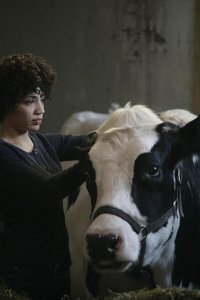 Fringe – S01E12 – The No-Brainer