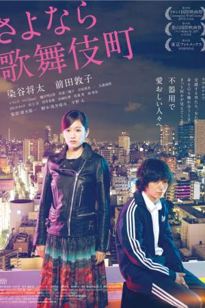 Kabukicho Love Hotel