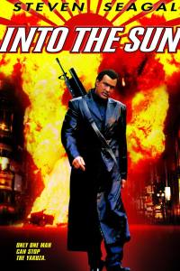 Into the Sun