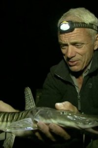 River Monsters – S03E03 – Silent Assassin