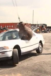 Tosh.0 – S02E24 – Reporter Who Can’t Break Glass
