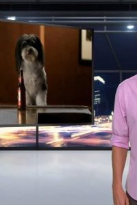 Tosh.0 – S05E24 – Headbanger Workout