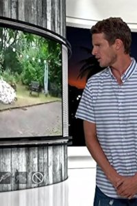 Tosh.0 – S08E22 – Randalin the Pawg
