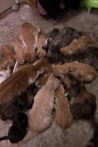 Hoarders – S03E20 – Glen/Lisa