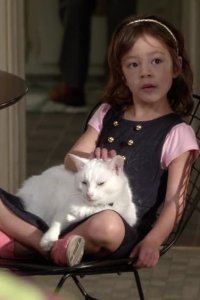 Modern Family – S04E03 – Snip
