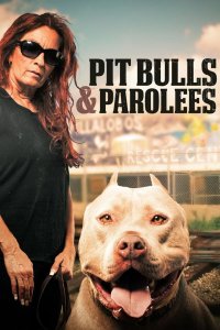Pit Bulls and Parolees – S02E06 – Beware of Dog