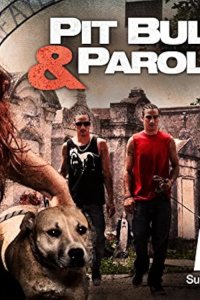 Pit Bulls and Parolees – S03E12 – End of the Road
