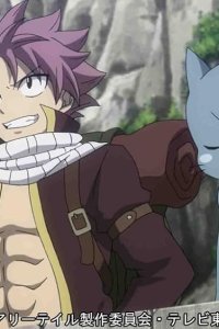 Fairy Tail – S05E99 – Fairy in the Heart