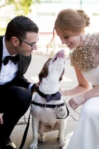 Pit Bulls and Parolees – S11E07 – Cutest Moments Ever