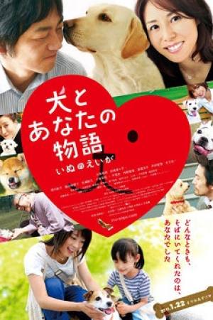 Happy Together: All About My Dog