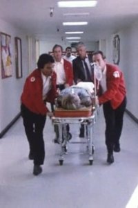 Dynasty – S07E03 – Focus
