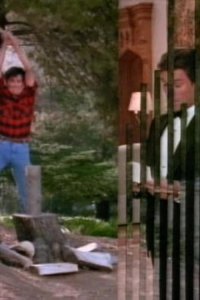 Dynasty – S08E19 – The Scandal