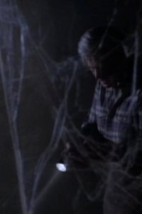 Dynasty – S09E20 – Here Comes the Son