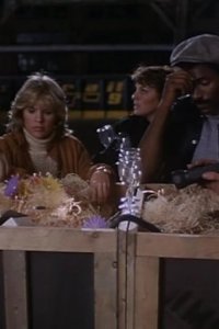 Cagney & Lacey – S02E06 – Internal Affairs
