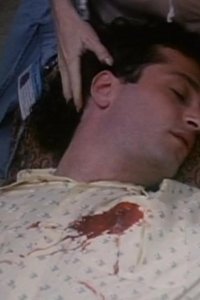 St. Elsewhere – S05E09 – After Life