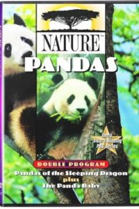 Nature – S13E02 – Pandas of the Sleeping Dragon