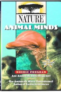 Nature – S18E06 – Inside the Animal Mind Part One: Are Animals Intelligent?