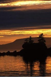 Nature – S21E14 – A Mystery in Alaska