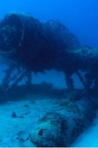Nature – S21E15 – War Wrecks of the Coral Seas
