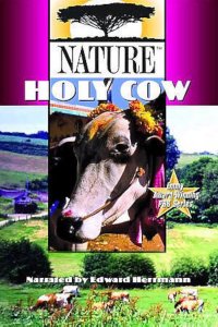 Nature – S22E09 – Holy Cow