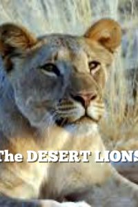 Nature – S26E05 – The Desert Lions