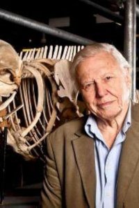 Nature – S31E07 – Attenborough’s Life Stories: Our Fragile Planet
