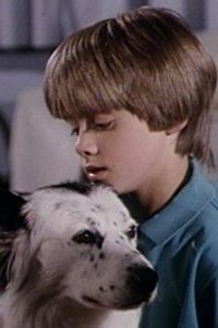 Highway to Heaven – S04E02 – Man’s Best Friend: Part 2