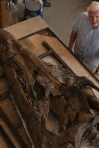 Nature – S42E11 – Attenborough and the Jurassic Sea Monster