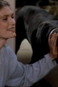 Murder, She Wrote – S08E20 – Angel of Death