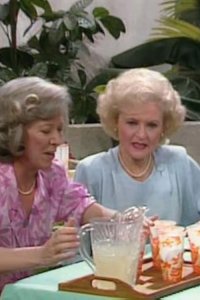 The Golden Girls – S01E23 – Blind Ambitions