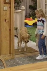 Full House – S03E07 – And They Call It Puppy Love