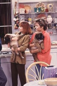 Empty Nest – S03E10 – Someone to Watch Over Me