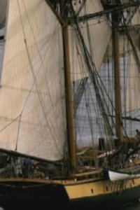 American Experience – S22E08 – Into the Deep: America, Whaling & the World