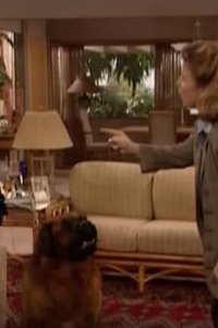 Empty Nest – S05E17 – Dog Day Afternoon
