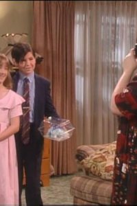 Roseanne – S07E22 – The Blaming of the Shrew