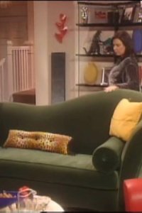 Roseanne – S09E10 – Home Is Where the Afghan Is