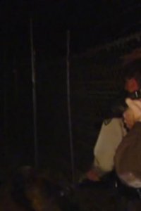 Cops – S13E38 – Mesa, Arizona 16