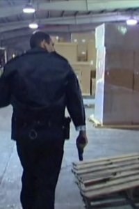 Cops – S14E22 – Coast to Coast 17