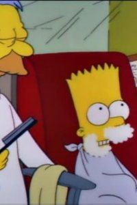 The Simpsons – S03E13 – Radio Bart