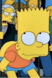 The Simpsons – S06E16 – Bart vs. Australia