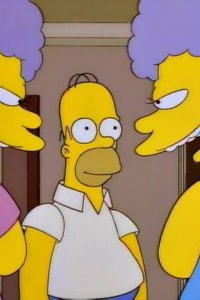 The Simpsons – S06E17 – Homer vs. Patty and Selma